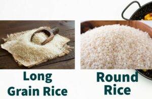Long and Round Rice